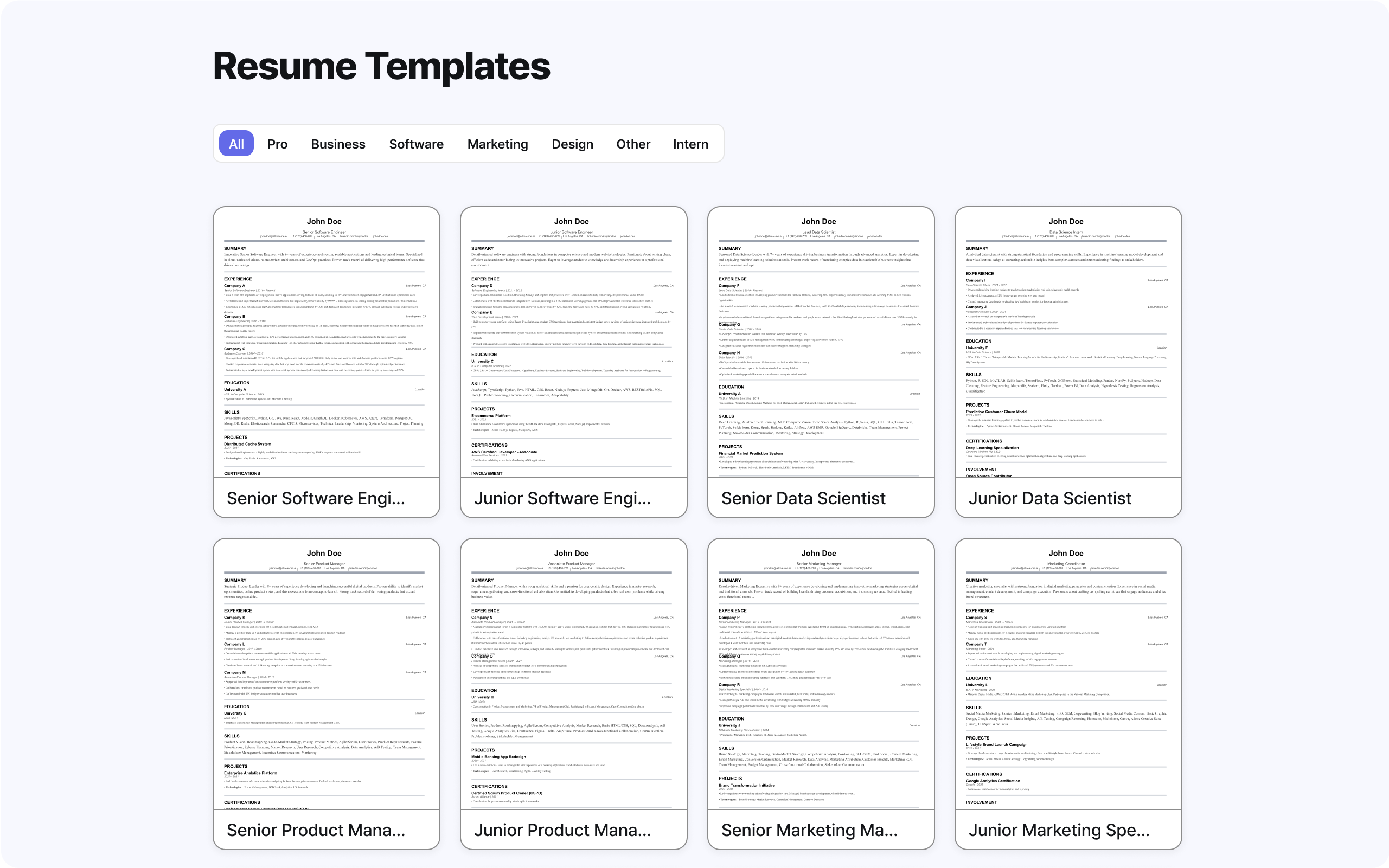 Resume template preview